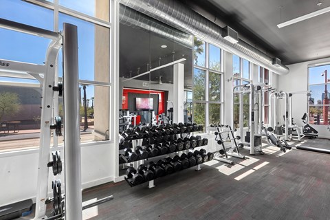 A gym with a variety of equipment including weights and cardio machines.