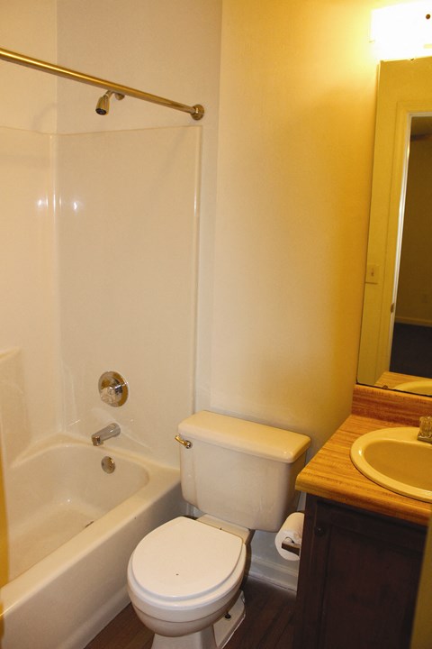 a bathroom with a toilet and a tub and a sink