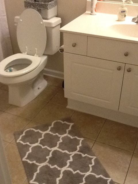 a bathroom with a toilet and a rug on the floor