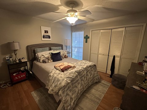 A bedroom with a bed, a ceiling fan, and a window with blinds.