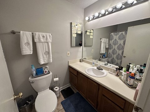 A bathroom with a toilet, sink, mirror, and lights.