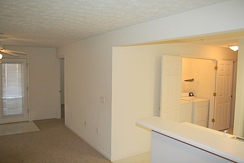A white room with a carpeted floor and a window with blinds.