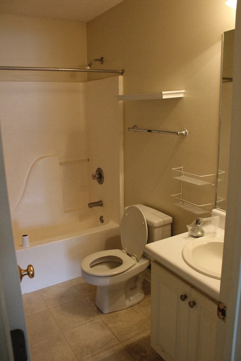 A white toilet is in a bathroom with a white sink.