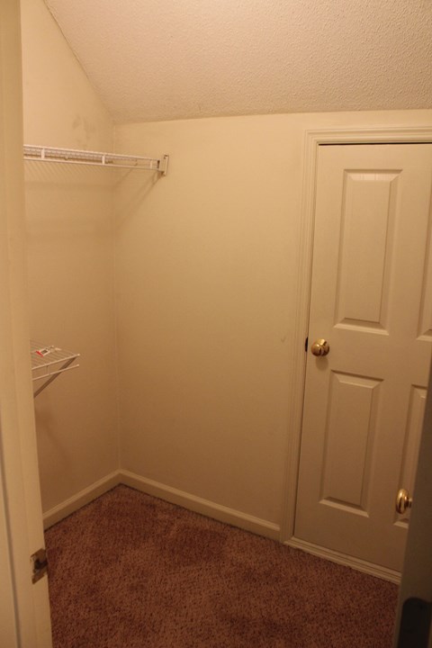 a room with a closet and a door