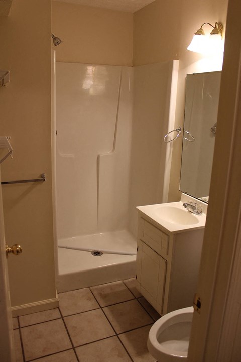 a bathroom with a shower and a sink and a toilet