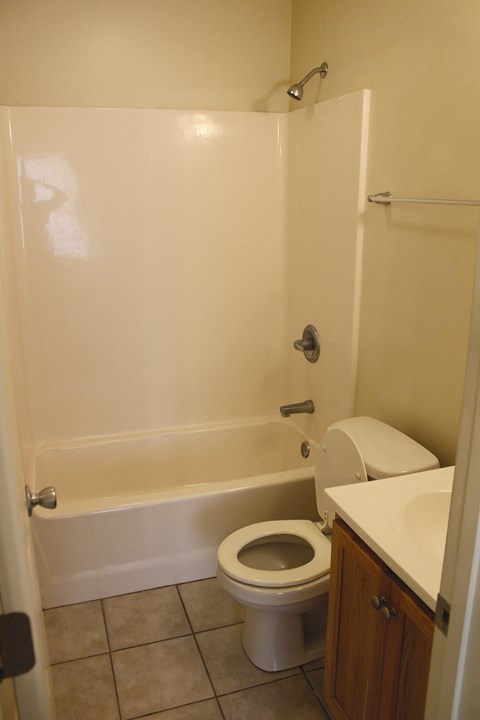 a bathroom with a toilet and a bath tub