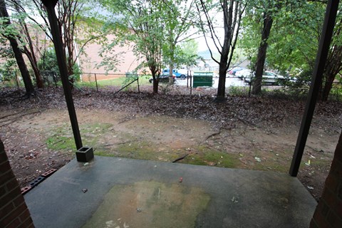 A view from a window of a backyard with a tree and a fence.