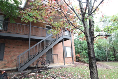 A tree with red leaves is in front of a brick building.