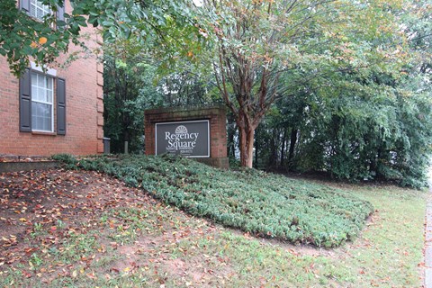 A sign that says Regency Square is in front of a tree.