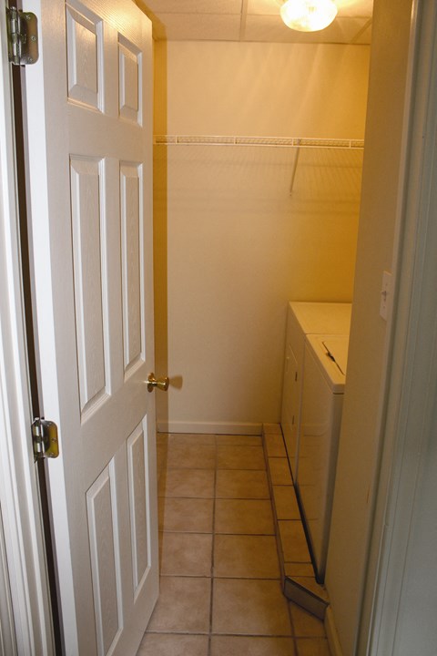 A white door with a gold handle is open.