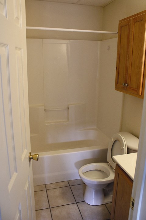 A white toilet sits in a bathroom next to a bathtub.