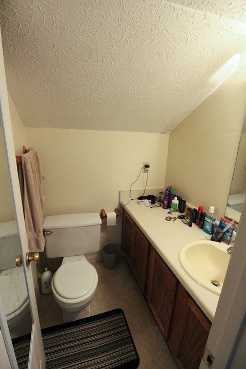 a small bathroom with a toilet and a sink