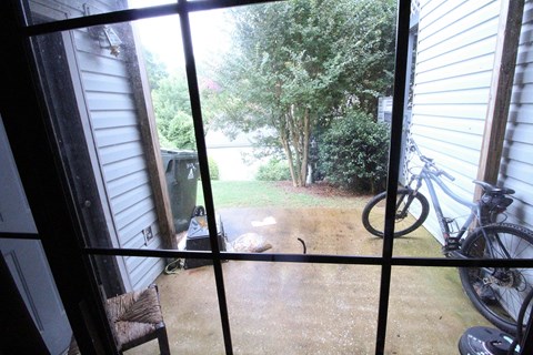 the view out the front door of a house of a yard with a bike parked