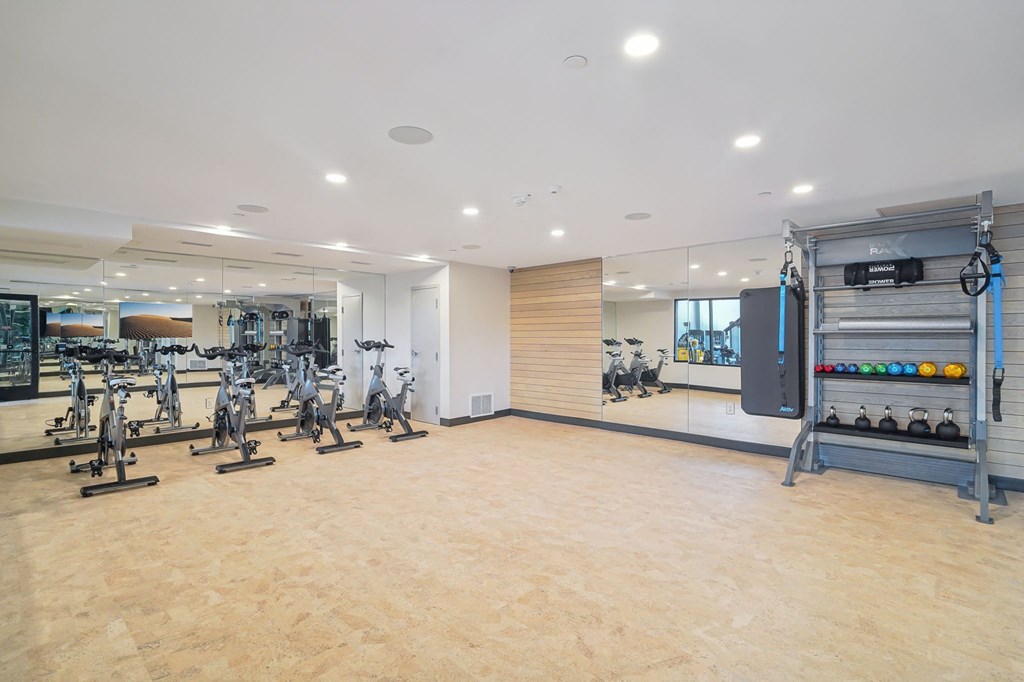 Vicino - Fitness Studio
