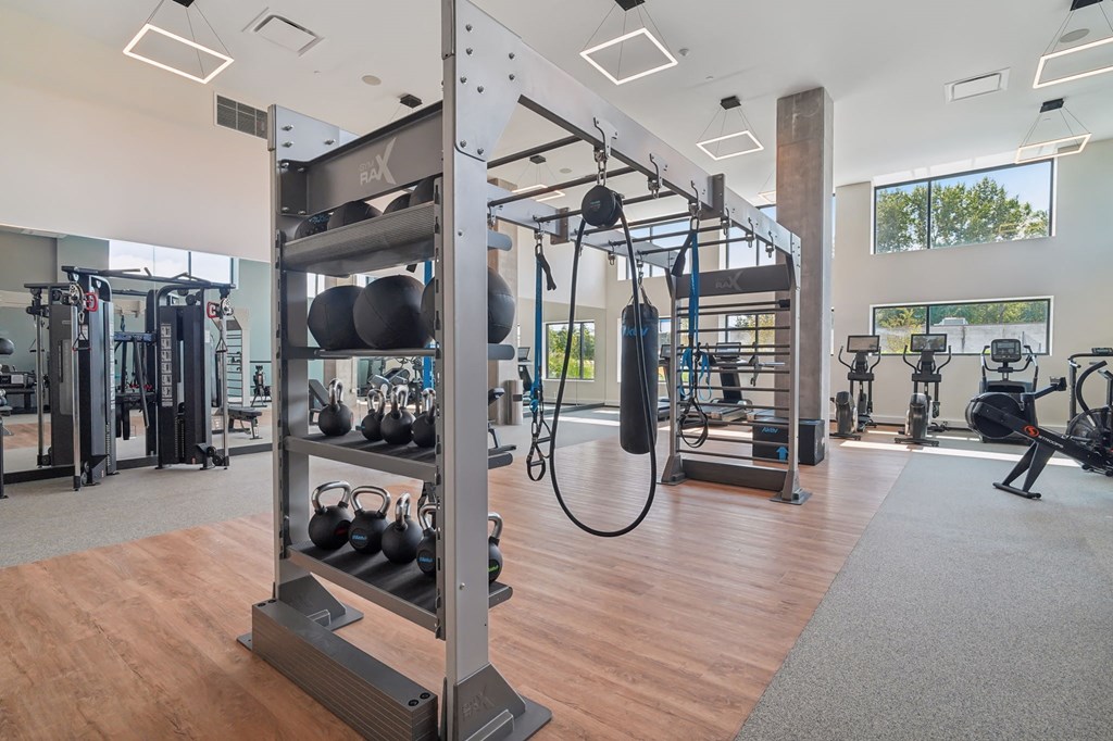 Vicino - Fitness Studio
