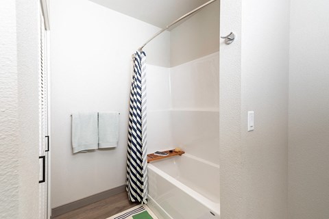 One Bedroom Model Bathroom - The Miles