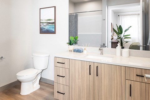 Two Bedroom Model Bathroom - The Miles