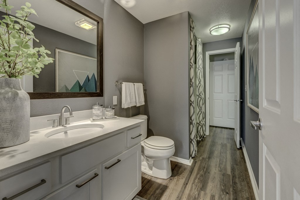 a bathroom with a sink and a toilet and a shower