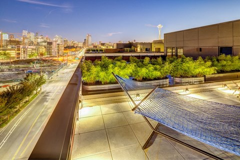 A rooftop garden with a metal trellis in the foreground.