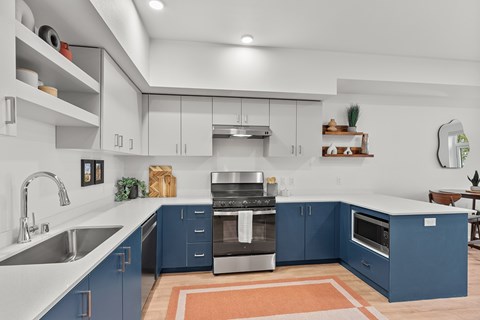 A modern kitchen with blue cabinets and stainless steel appliances.