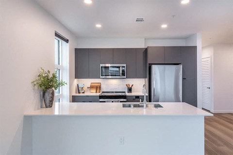 Dark Designer Scheme Kitchen - The Ballard Independent