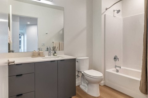 Dark Designer Scheme Bath - The Ballard Independent