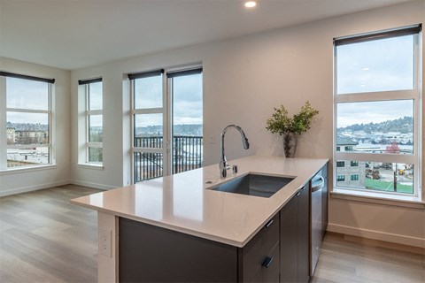 Dark Designer Scheme Kitchen - The Ballard Independent