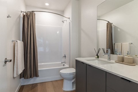 Dark Designer Scheme Bath - The Ballard Independent