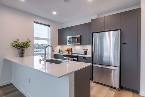 Dark Designer Scheme Kitchen - The Ballard Independent