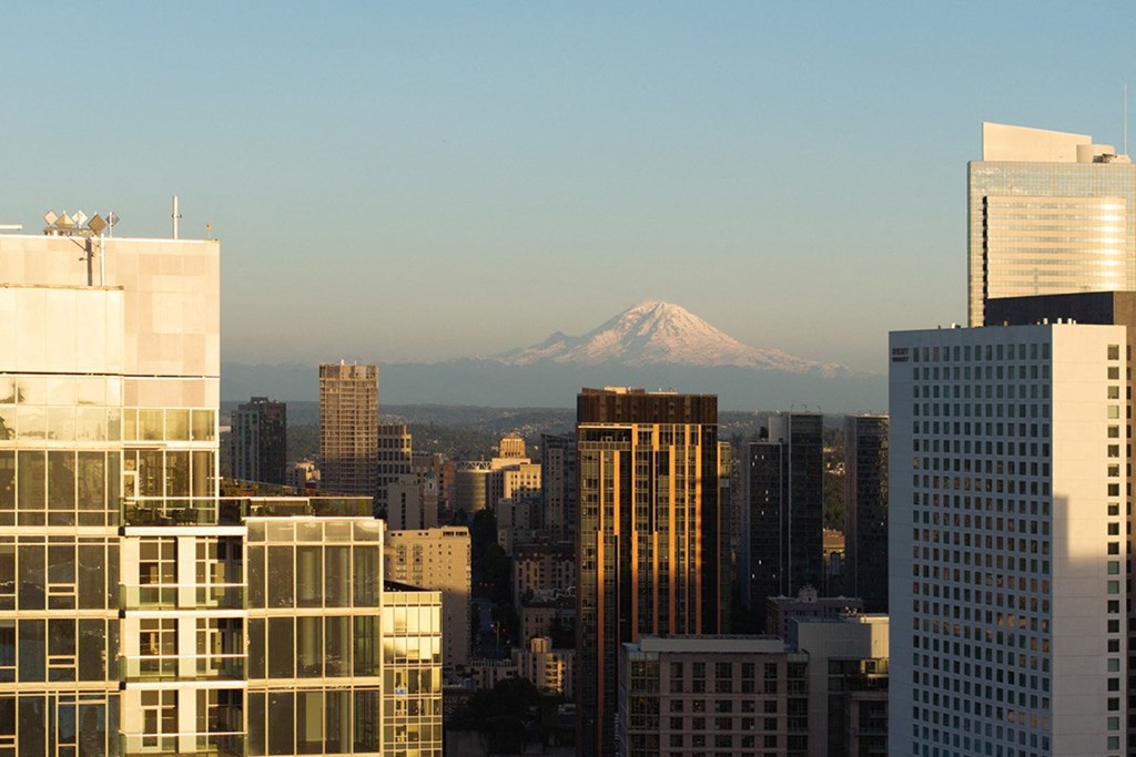 Rooftop Exterior & Mountain - The Ayer