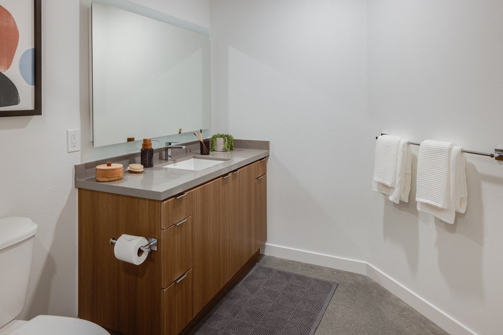 a bathroom with a sink and a mirror and a toilet