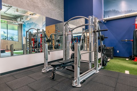 A gym with a weight bench and a squat rack.