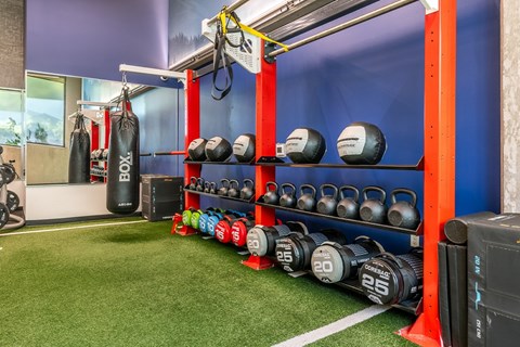 A gym with a green floor and a purple wall.