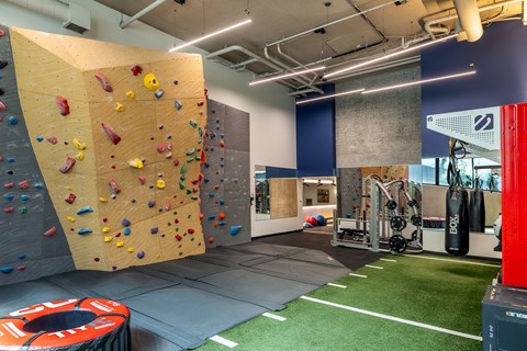 A climbing wall in a gym with a red and black mat on the floor.