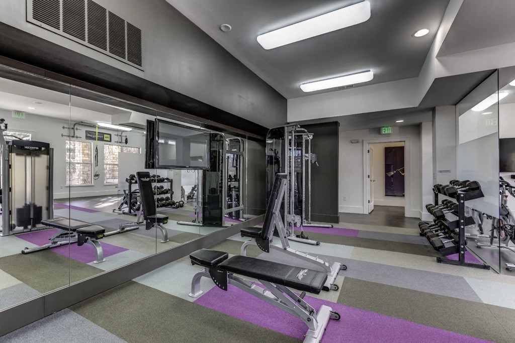 a gym with weights and mirrors and a pink rug