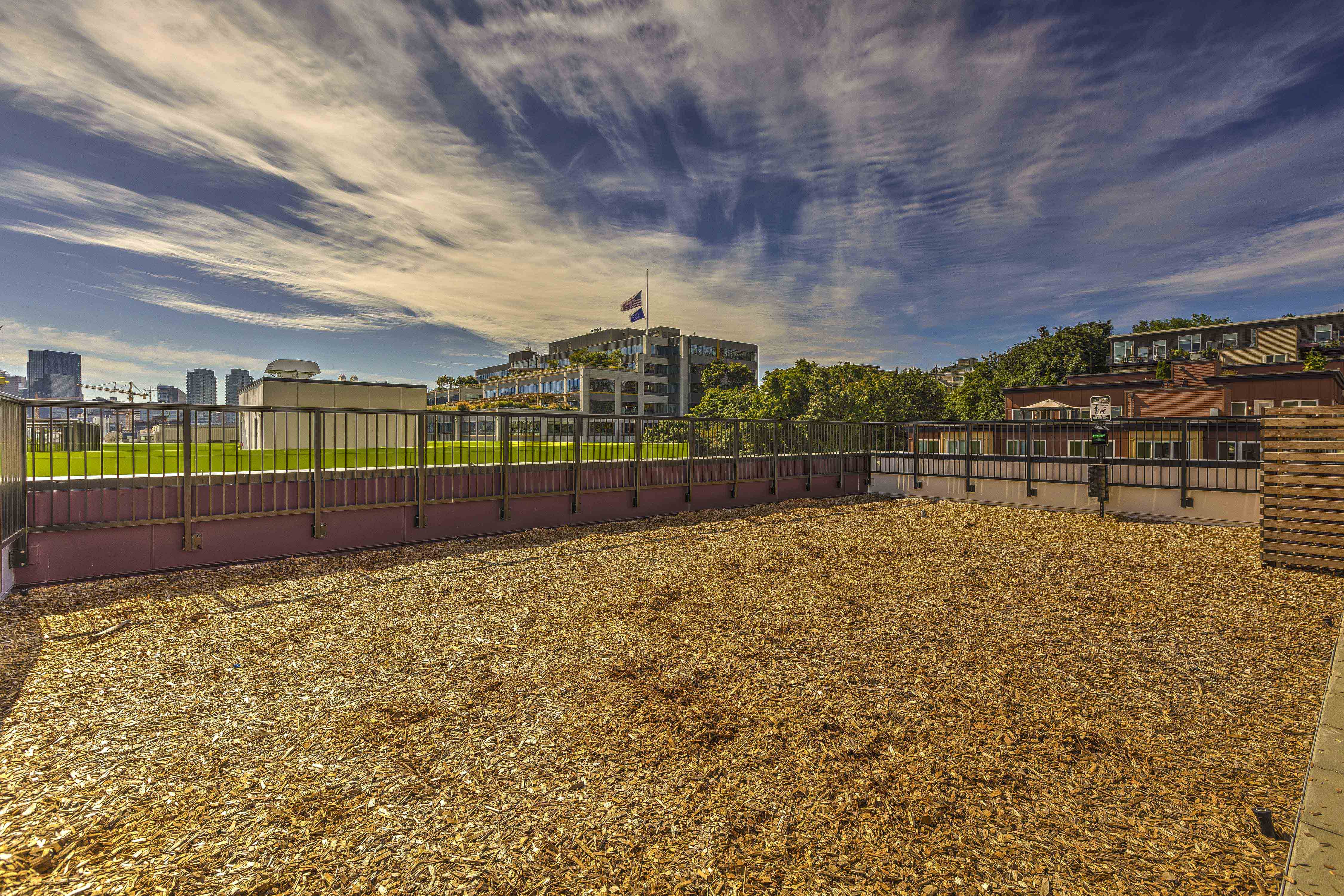 Westlake Steps - Rooftop
