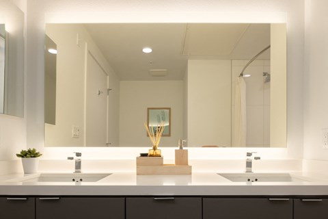 Bathroom Felix at The Society