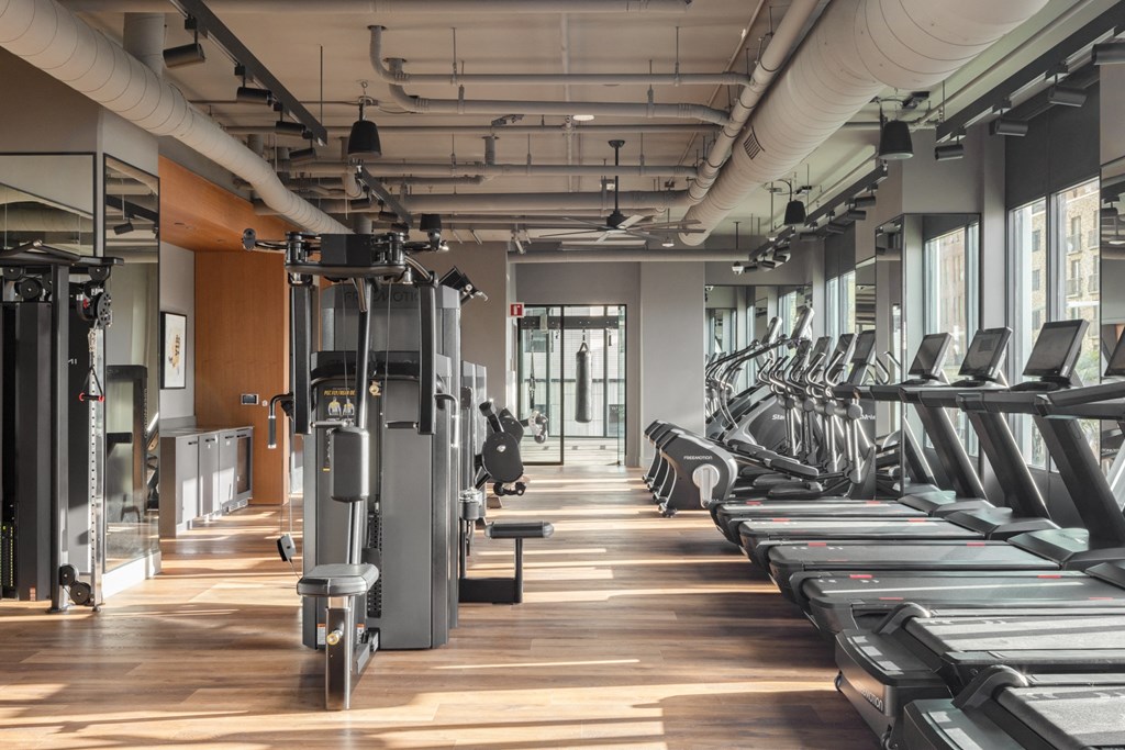 a row of cardio machines in a gym