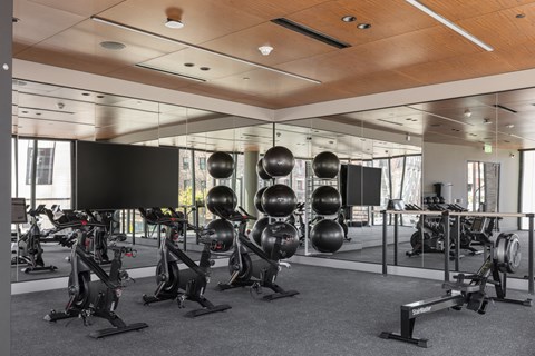 a gym with exercise bikes and weights on a mirrored wall