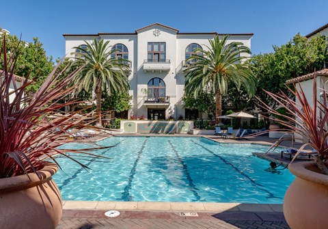 Fountain Plaza - Pool