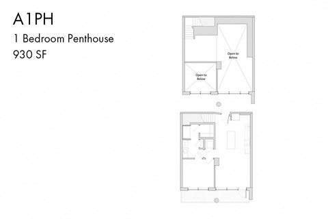 a floor plan of a 1 bedroom penthouse