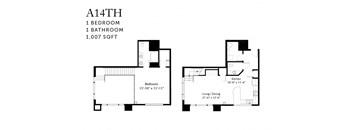 A floor plan of a 1 bedroom, 1 bathroom apartment of 1,007 sqft.