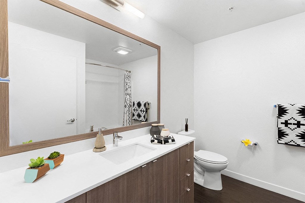 Westlake Steps - Bathroom