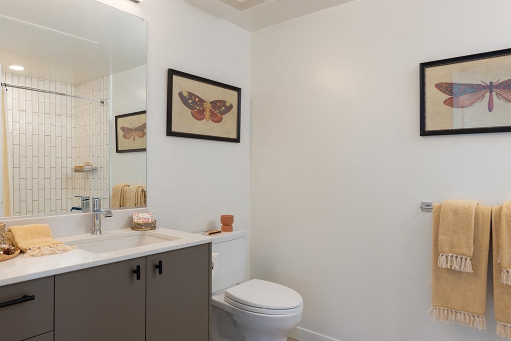 Two Bedroom Dark Designer Scheme - The Lark Uptown