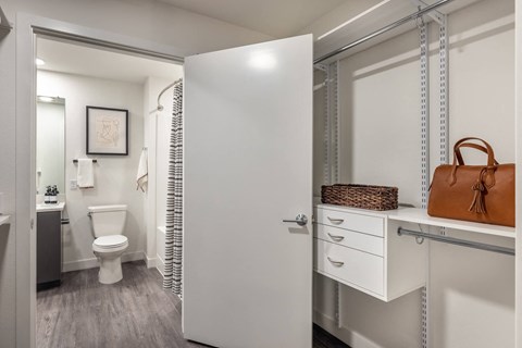 1 Bedroom Model Walk-Through Closet