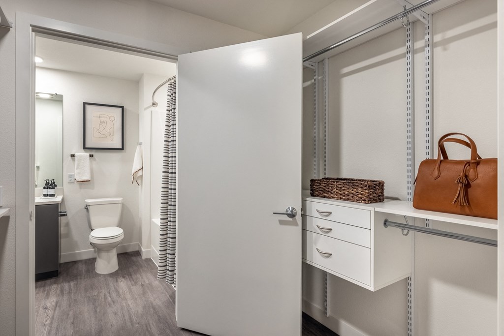 1 Bedroom Model Walk-Through Closet