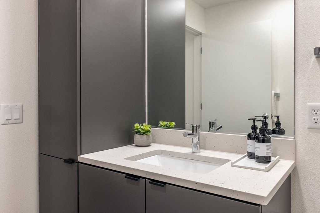 1 Bedroom Model Bathroom - Coen & Columbia