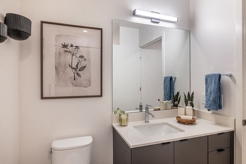 Model Bathroom - The Ballard Independent