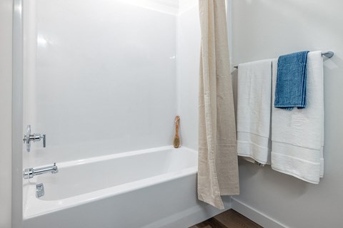 Model Bathroom - The Ballard Independent