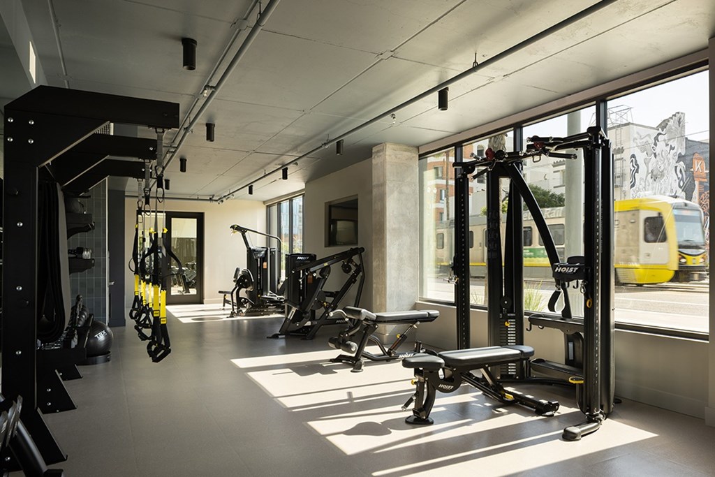 A gym with a variety of equipment including a squat rack, bench, and weights.